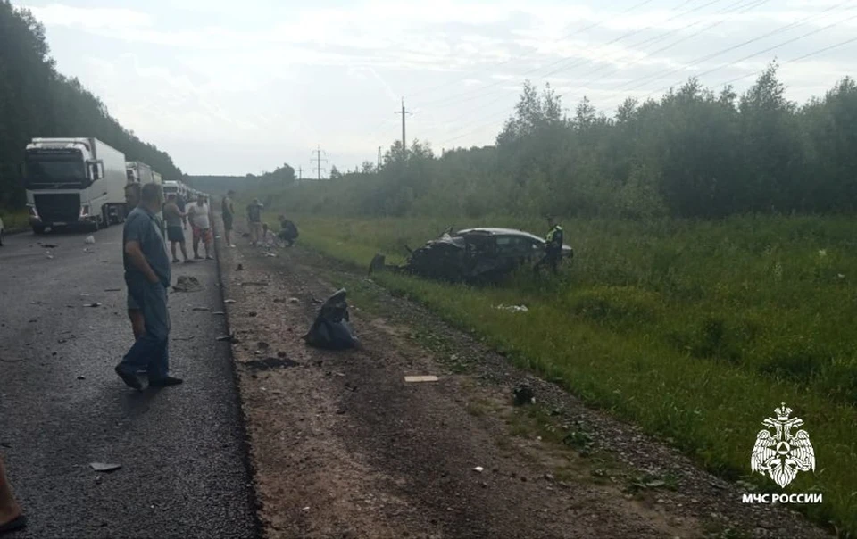 Фото: пресс-служба ГУ МЧС России по Костромской области