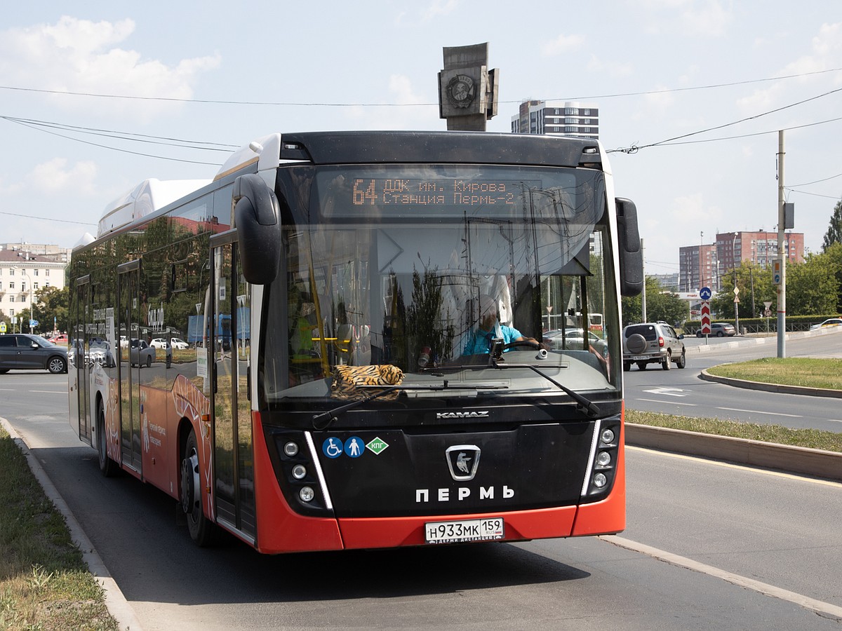 Водитель автобуса в Перми увез пассажиров по ошибочному маршруту в час пик  - KP.RU