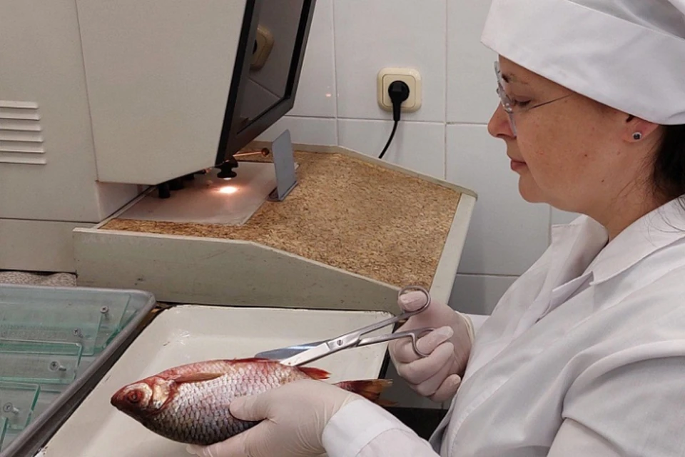 Всего требованиям не соответствовала 41 тонна продуктов. Фото: Управление ветеринарии Саратовской области.