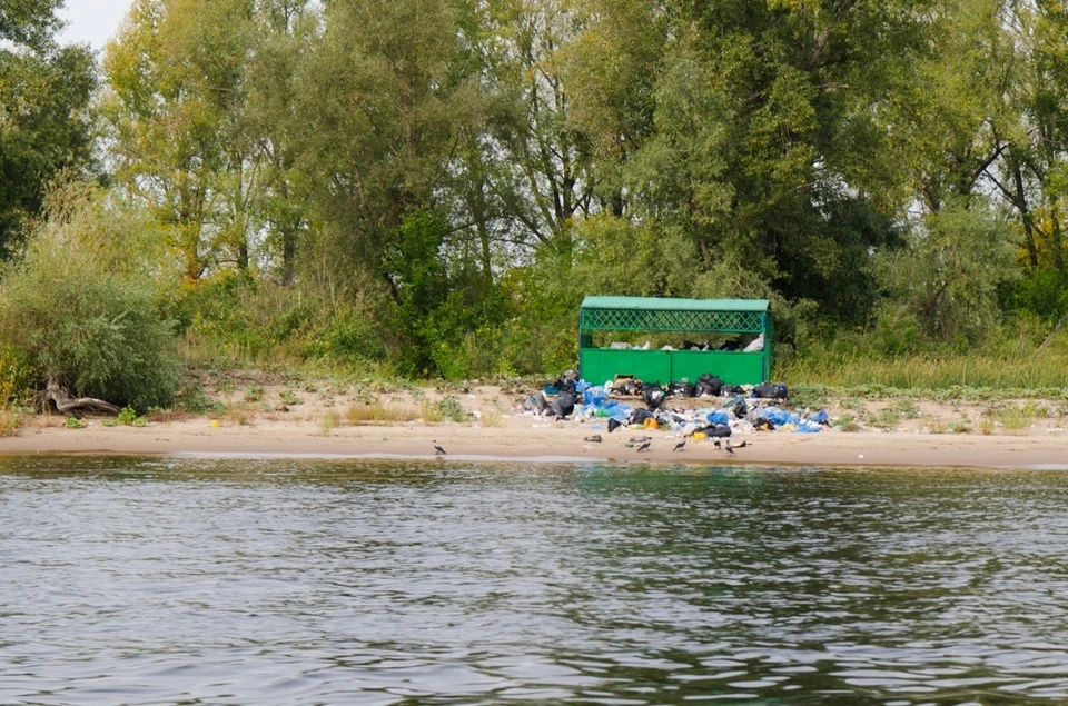 В настоящий момент акты реагирования рассматриваются.
