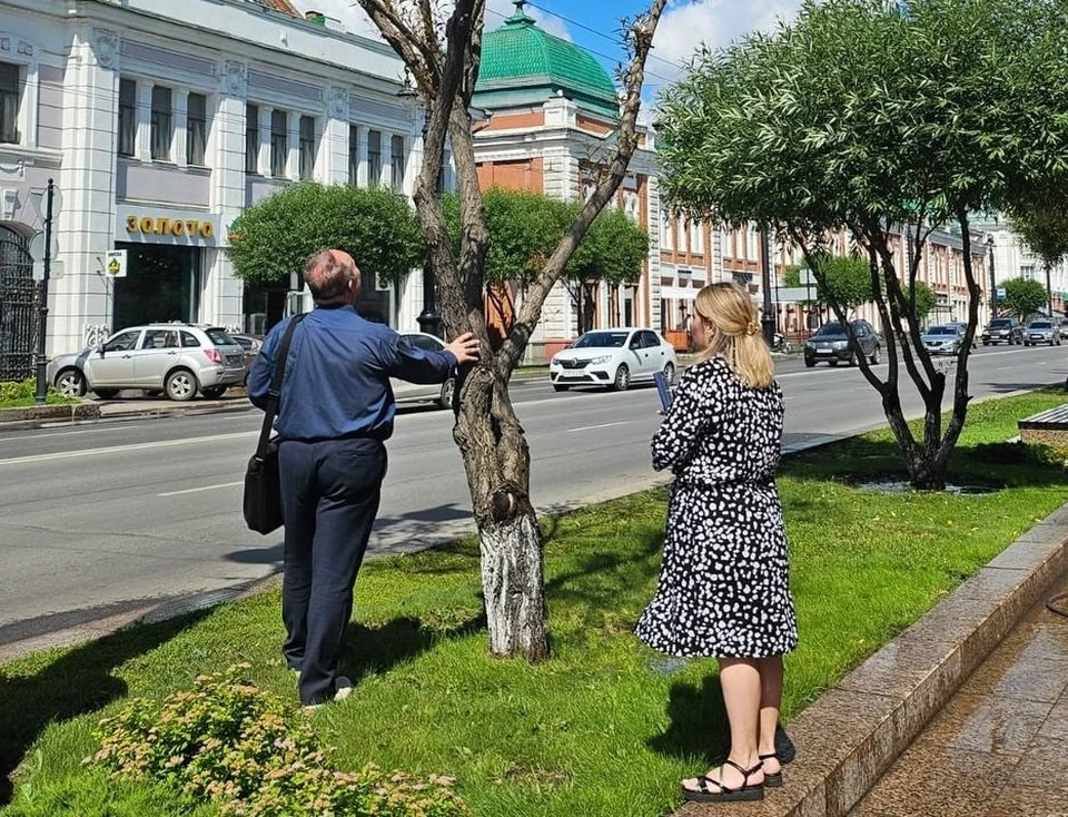 Фото: пресс-служба мэрии Омска