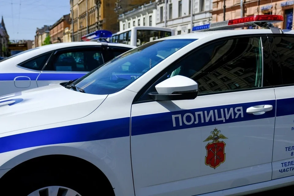 Возбуждено уголовное дело из-за поджога венков на могиле участника спецоперации на Смоленском кладбище.