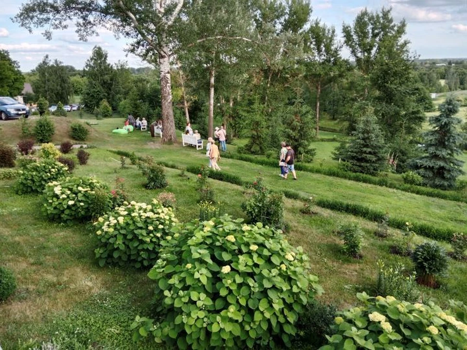 В регионе стоит жара