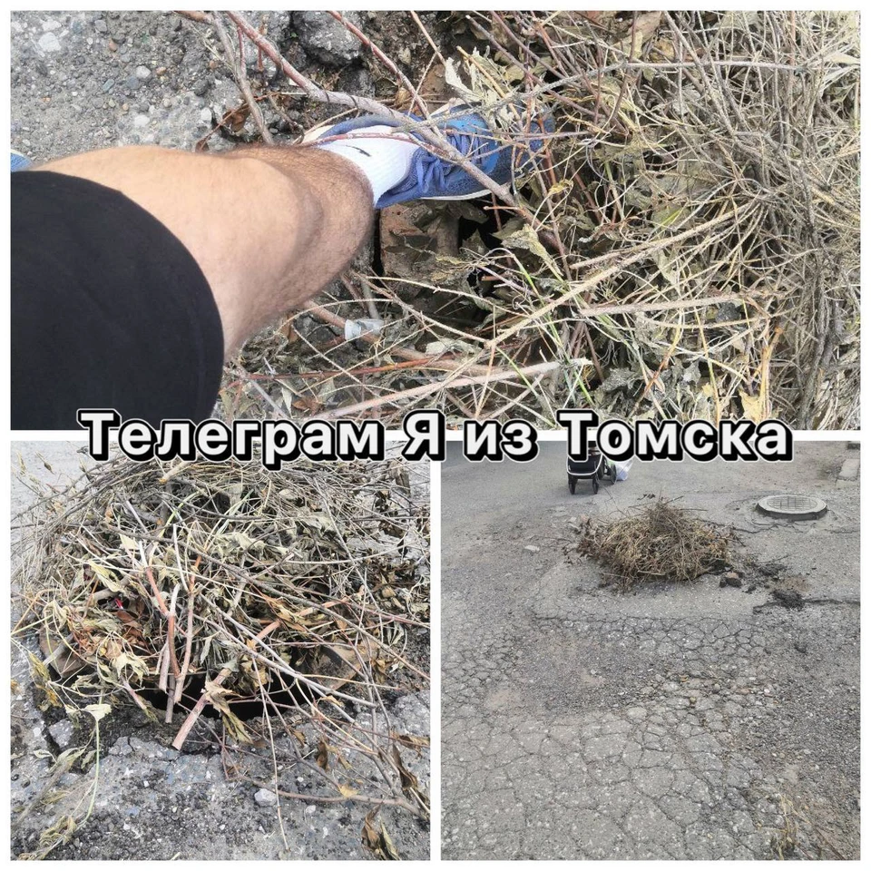 фото: телеграм-канал "Я из Томска"