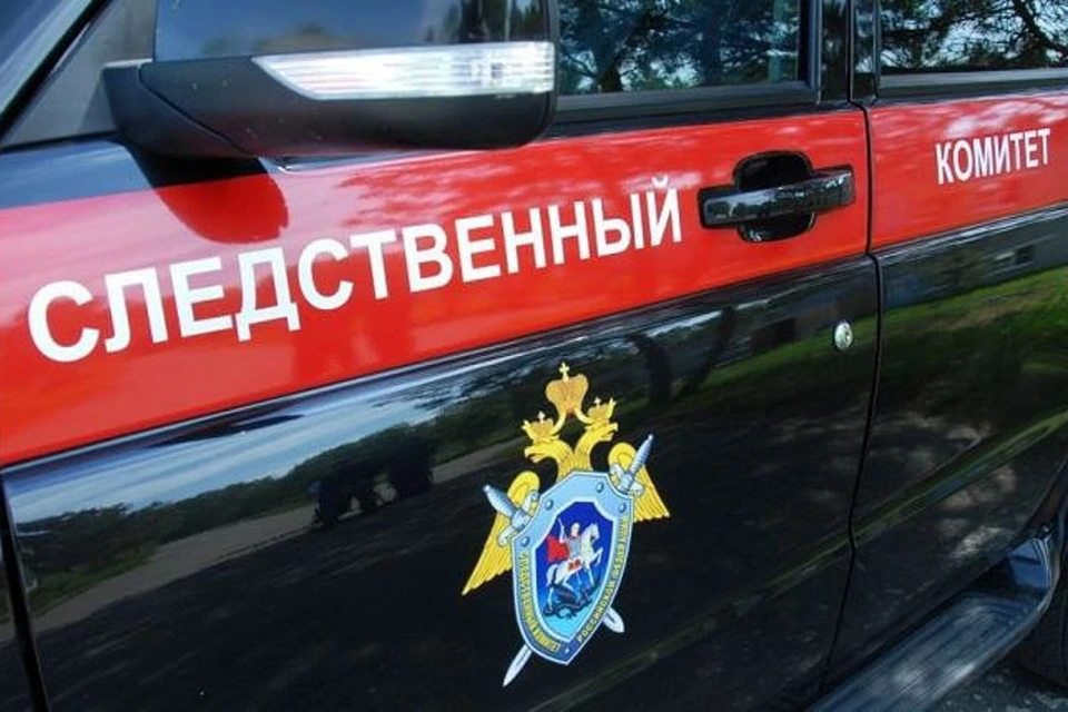 Исполнение поручений поставлено на контроль в центральном аппарате ведомства. Фото: СК России
