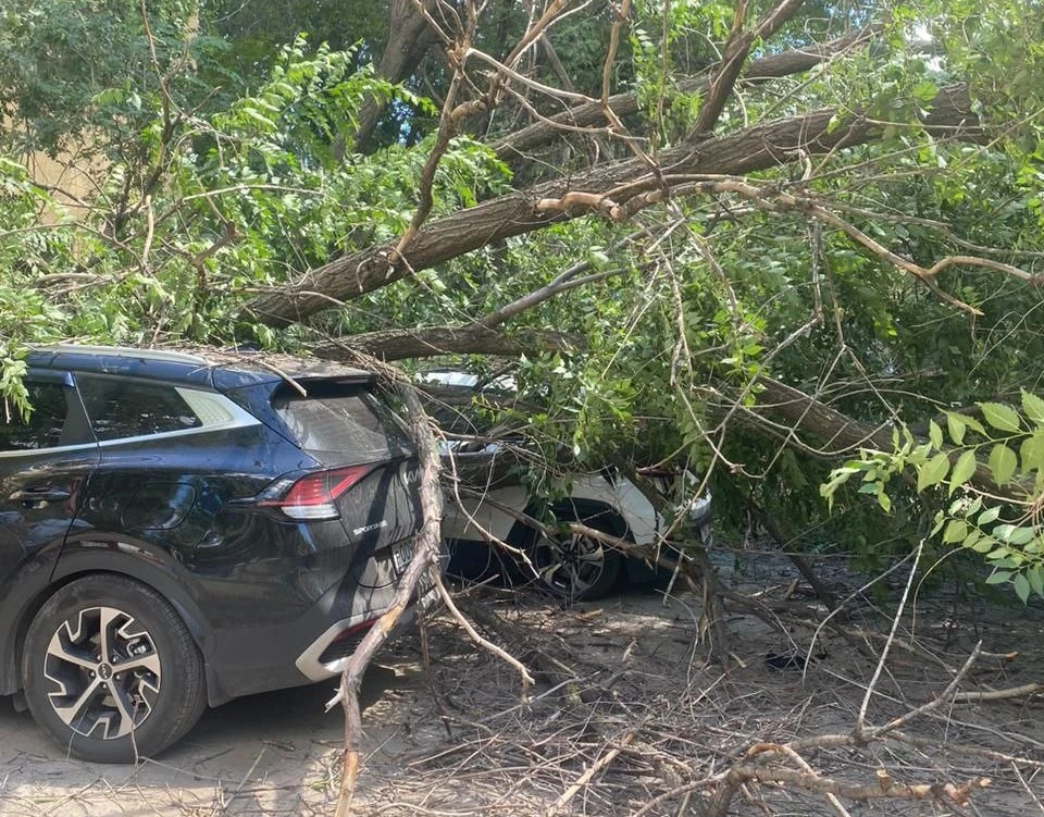 Полиция приехала и приняла заявления автовладельцев. Фото: предоставлено «КП-Самара»