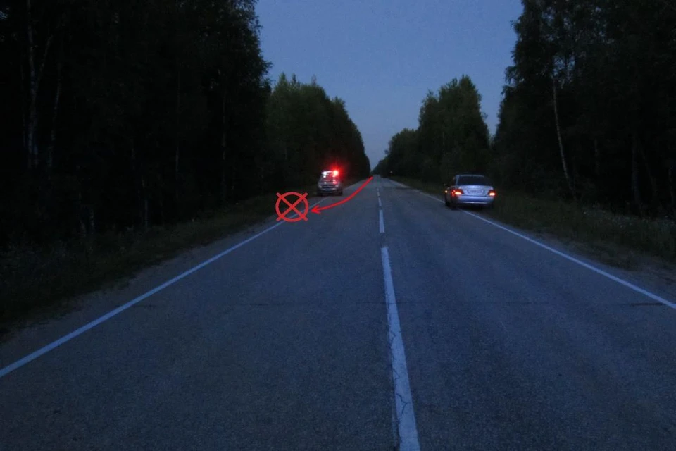 Фото: Госавтоинспекция Коми