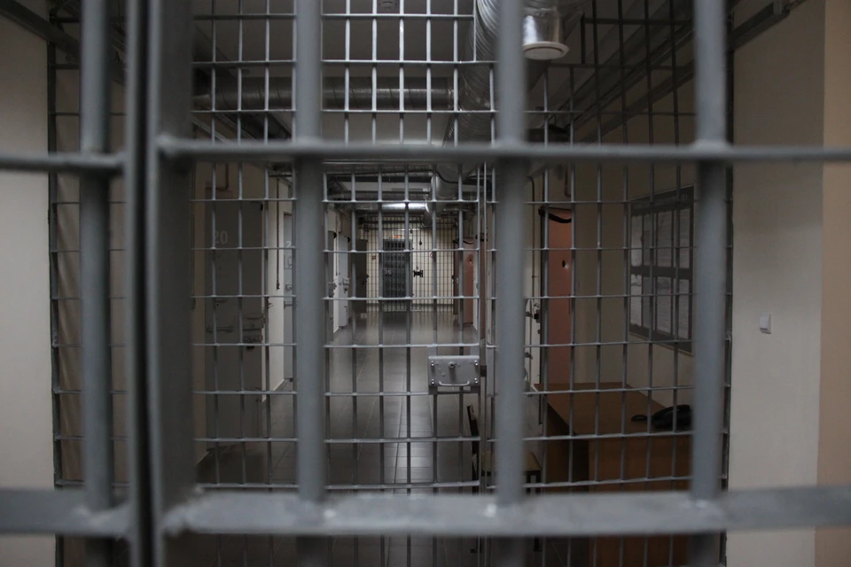 В Пермском крае будут судить женщину за сокрытие нелегального мигранта