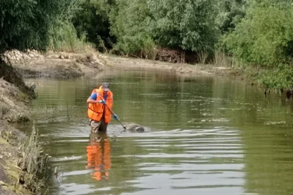 В Новосибирском парке «Арена» нашли тело утонувшего мужчины. Фото: спасатели МАСС