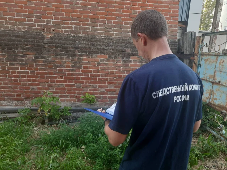 Фото: СУ СКР по Саратовской области