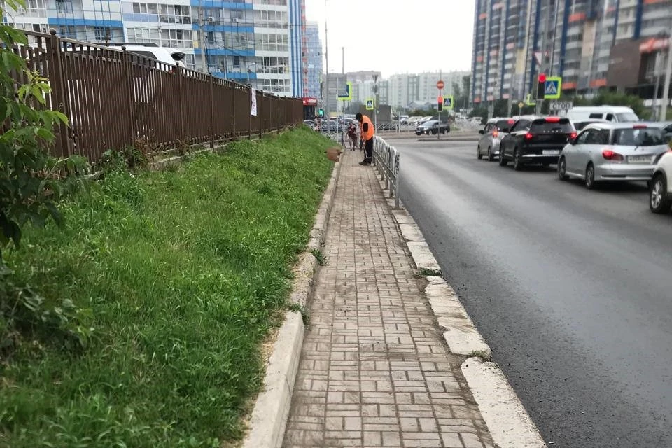 Фото: муниципальное казенное учреждение «Управление дорог, инфраструктуры и благоустройства»