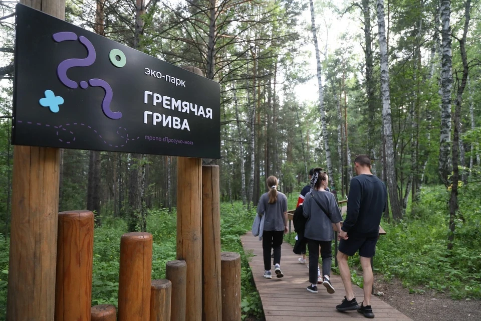 Красноярцев приглашают на «Японские пикники»