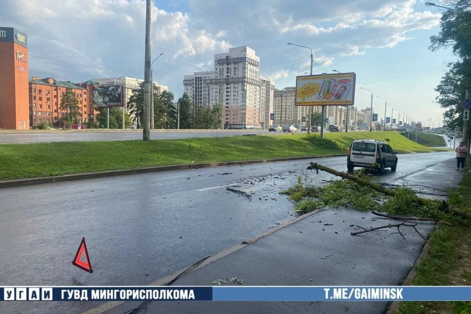 Дерево упало на машину при съезде с проспекта Независимости в Минске. Фото: телеграм-канал УГАИ ГУВД Мингорисполкома