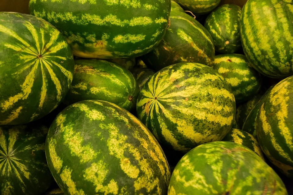 В Новосибирске у нелегалов изъяли 3 тонны продуктов и 8 автомобилей