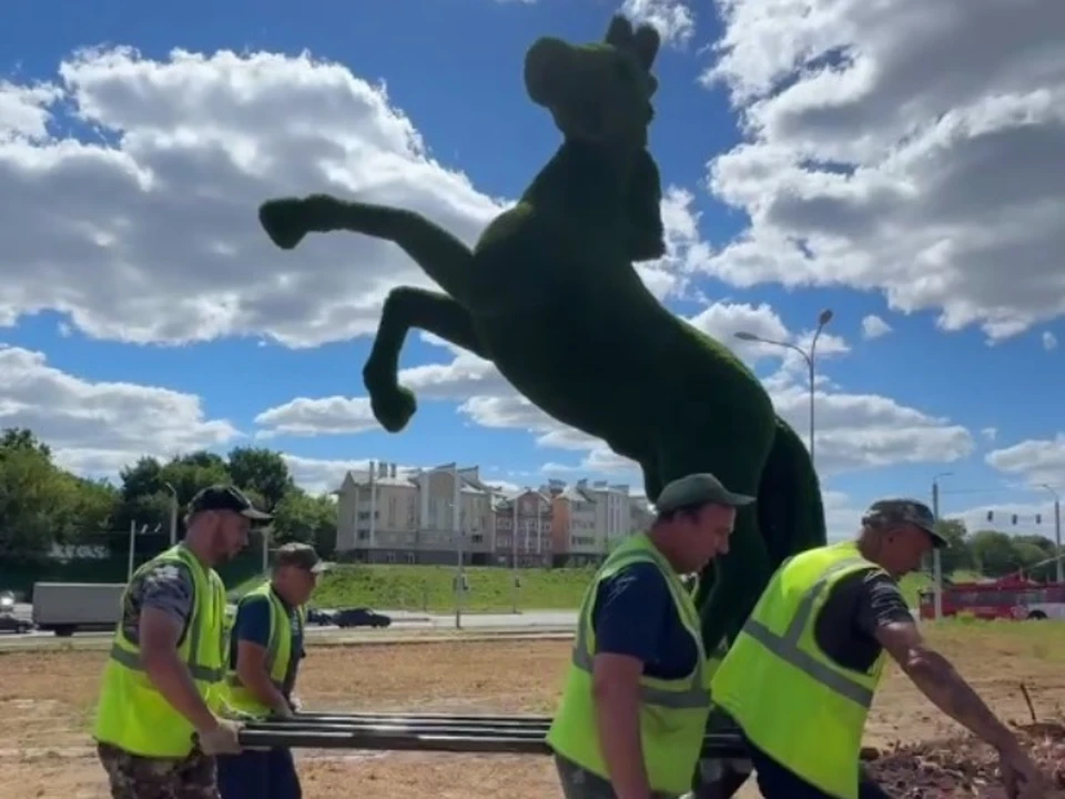Кадр из видео МКУ "Зеленый город".