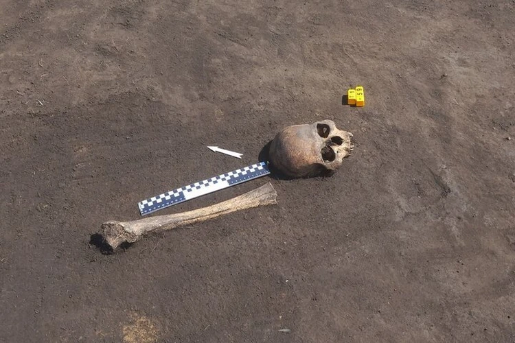 Тюменские археологи обнаружили в древнем кургане детское и парное захоронения