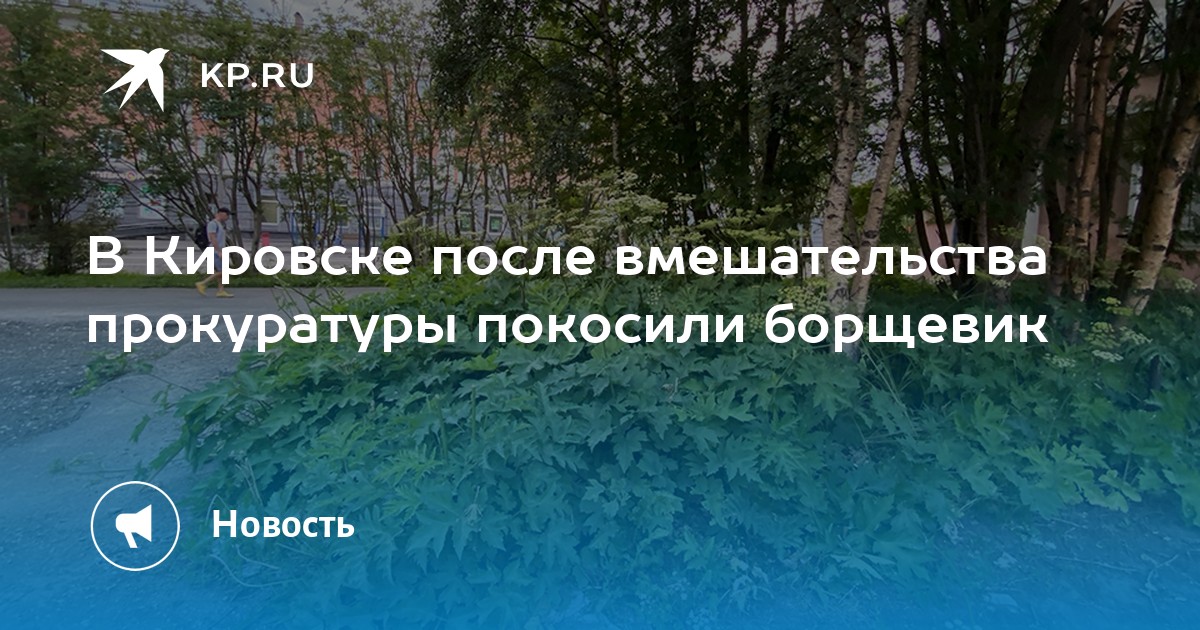 Ук горэлектросеть кировск. Ук горэлектросеть кировск