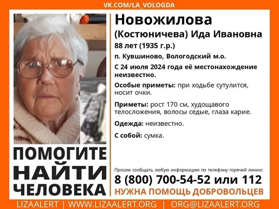 Поисковики распространяют информацию и фотографию вологжанки.