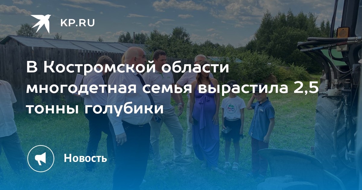 Гектар многодетной семье