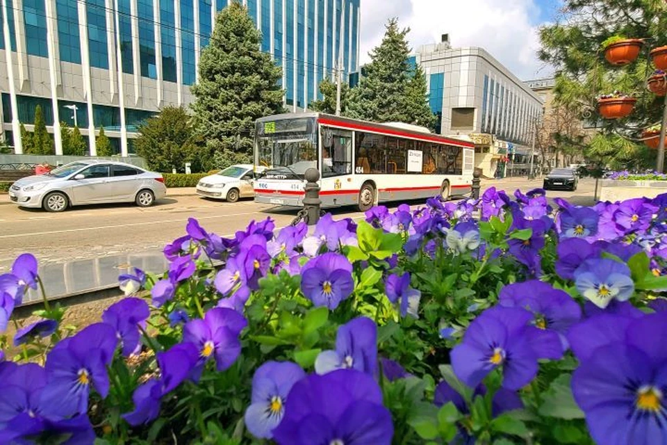 В Краснодаре будет тепло и солнечно