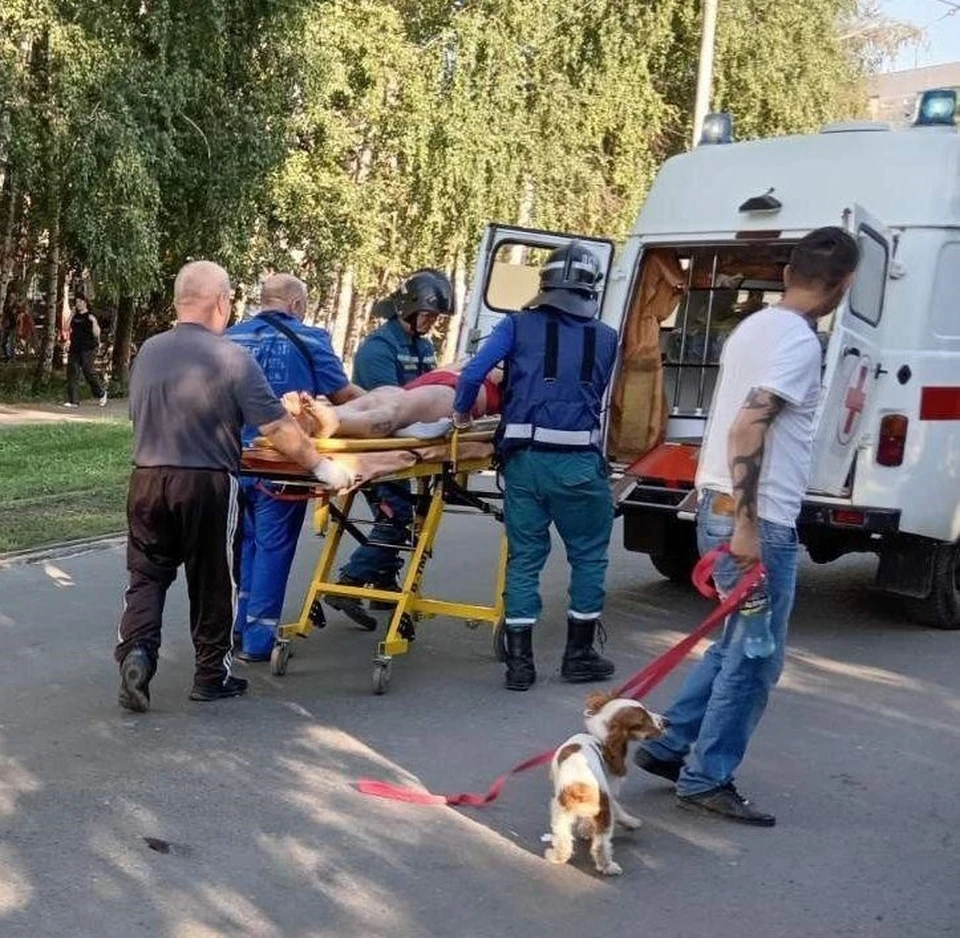 В Ульяновске сбили девушку, перебегавшую дорогу в неположенном месте. Фото Управление гражданской защиты
