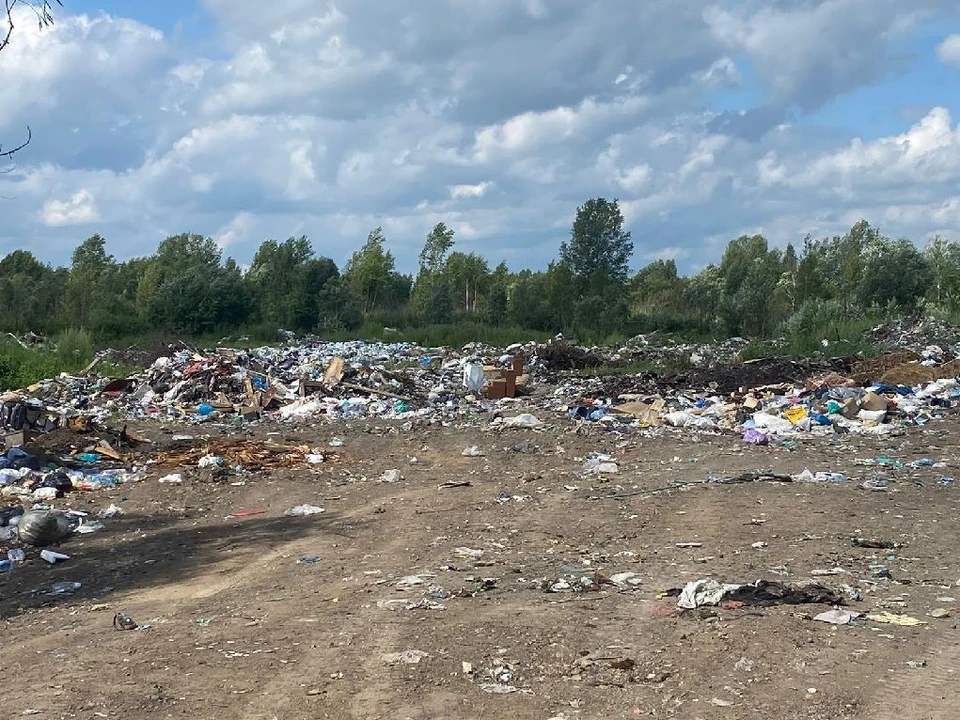 Фото: прокуратура Томской области