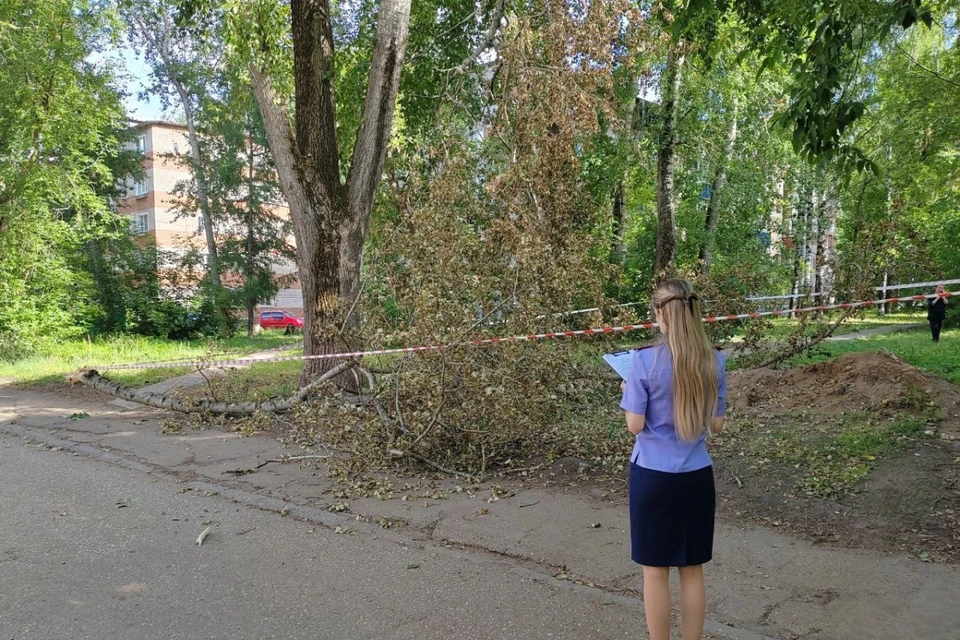 Несчастный случай произошел на одной из улиц города. Фото: СУ СКР по Кировской области