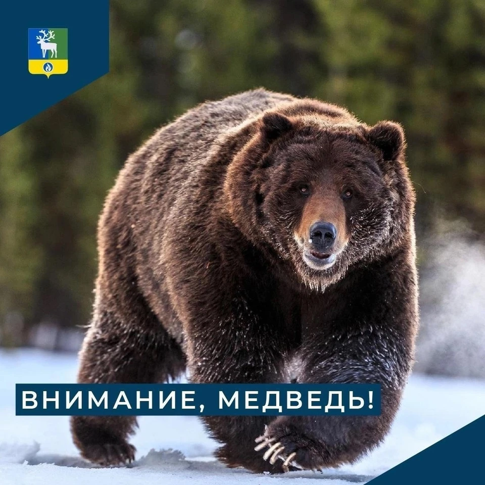 Фото: администрация Белоярского района