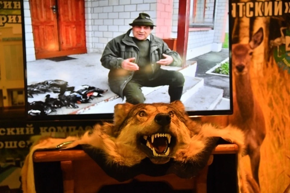 Жеребьевка по распределению разрешений на охоту в Якутии пройдет в прямом эфире