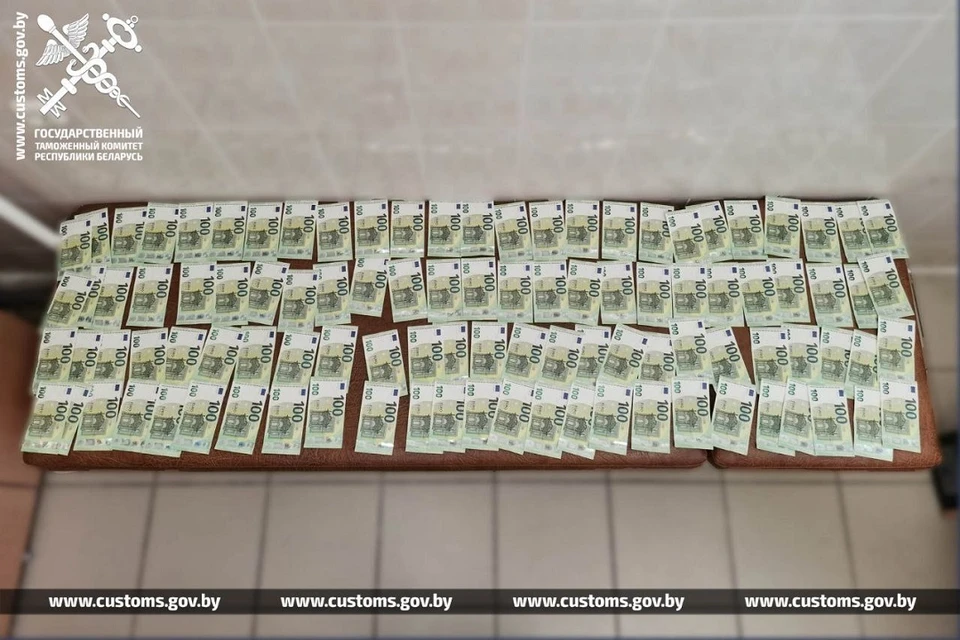 Гражданин Грузии пытался ввезти в Беларусь крупную сумму валюты по поддельным документам. Фото: ГТК.