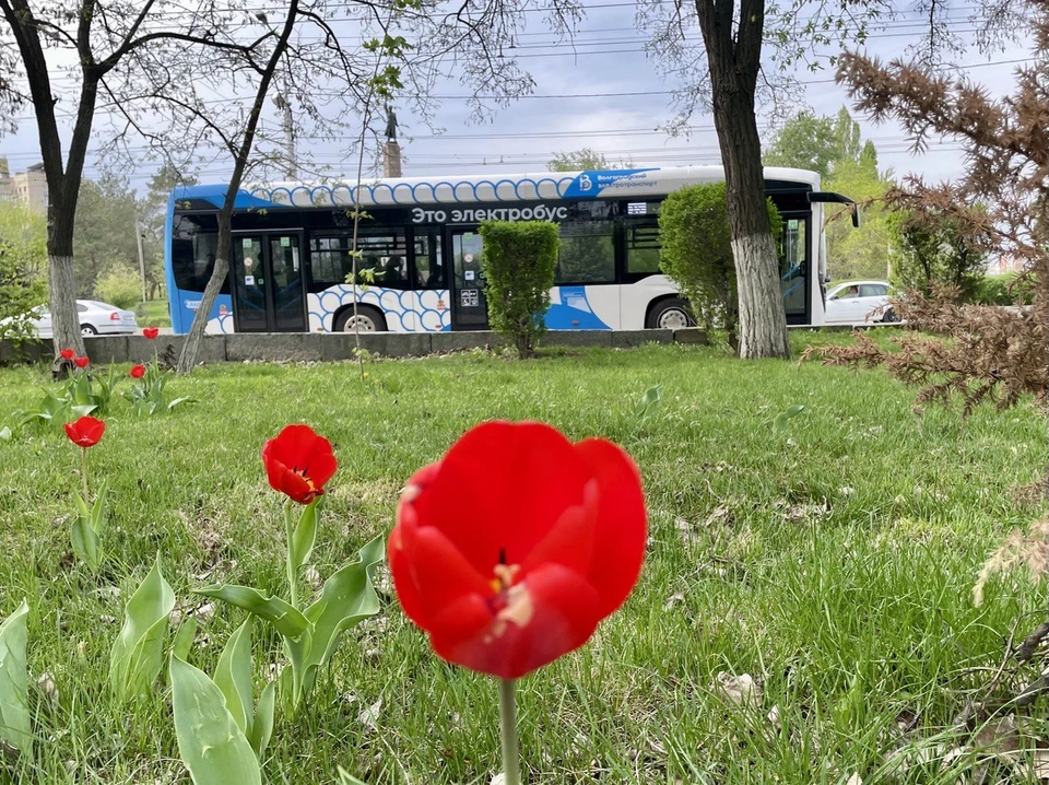 В Волгограде сохраняется жара.
