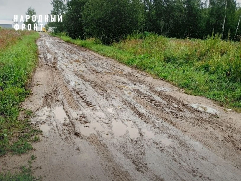 Фото: Народный фронт Костромская область