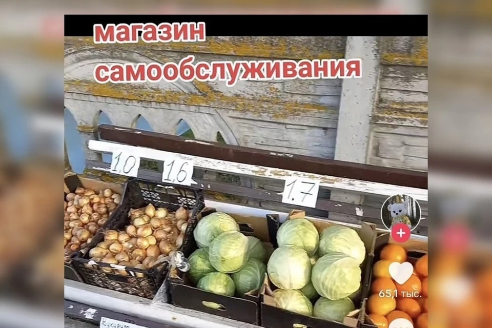 Необычный магазин самообслуживания, где можно купить овощи, открылся под Лунинцем. Фото: скриншот с видео TikTok @maksalinalyninec