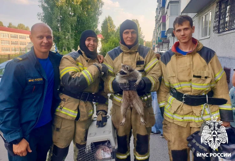 Телепрограмма на сегодня — Кемерово