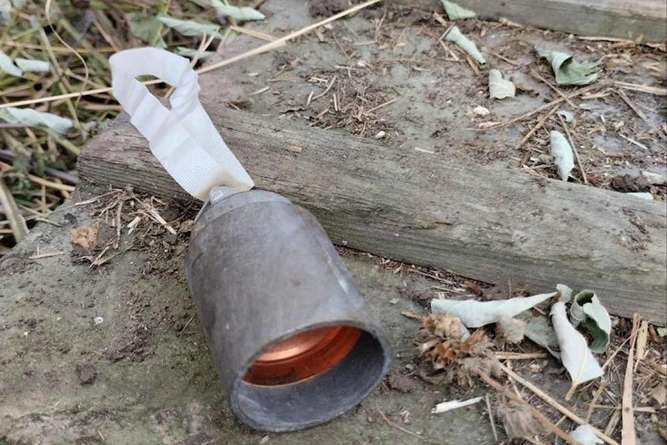 В Горловке мирный житель подорвался на суббоеприпасе ВСУ. Фото (архив): ТГ/Приходько