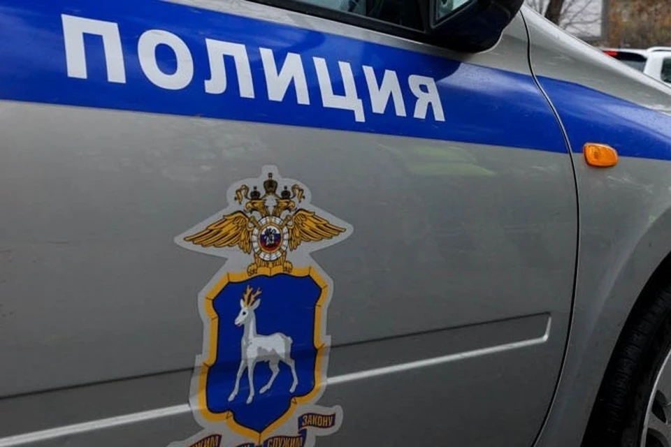 Причинами трагических ДТП стали различные нарушения правил дорожного движения пешеходами и водителей.