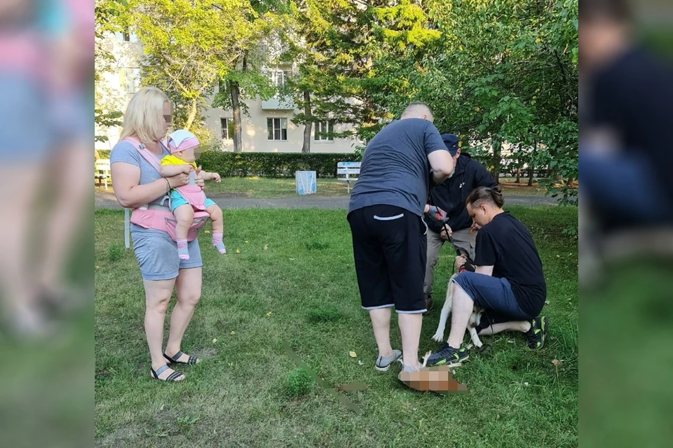 Фото: "Подслушано Зеленогорск"