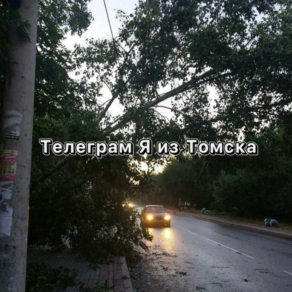 фото: "телеграм-канал "Я из Томска"