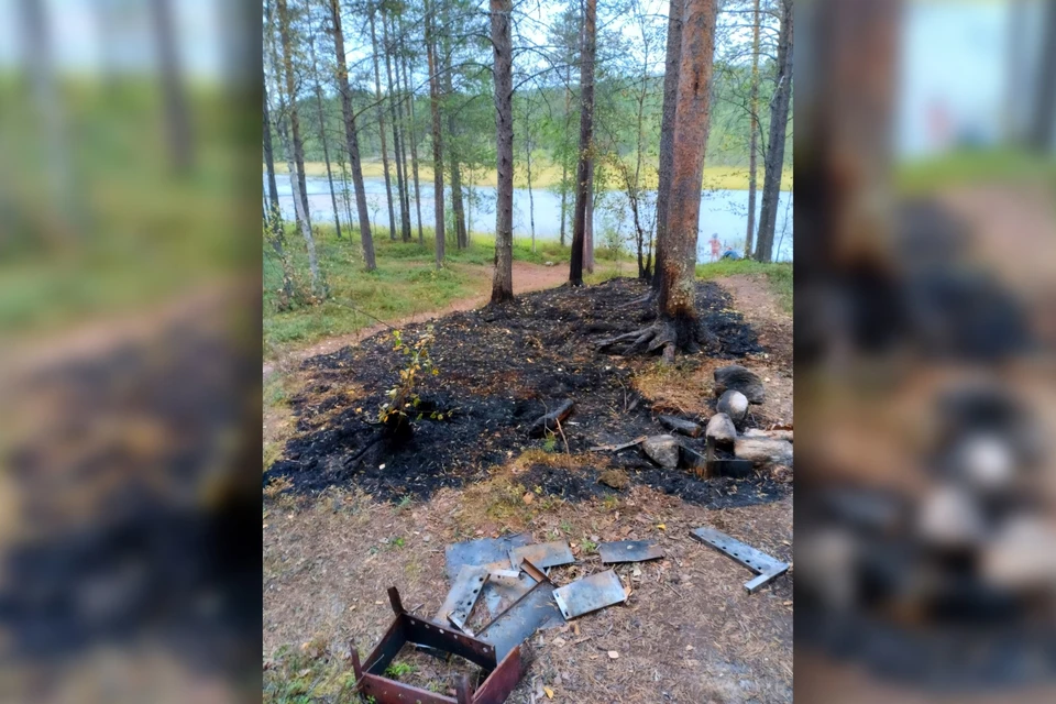 Причины пожара и ущерб от него устанавливаются. Фото: Управление по ГОЧС и ПБ Мурманской области