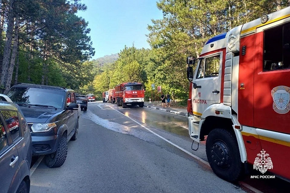 В Ялтинском заповеднике потушили пожар. Фото: МЧС по РК