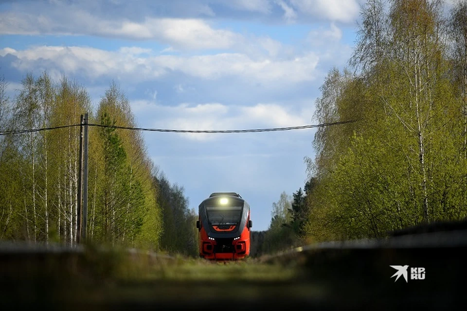 Нарушитель должен оплатить штраф в 2000 рублей
