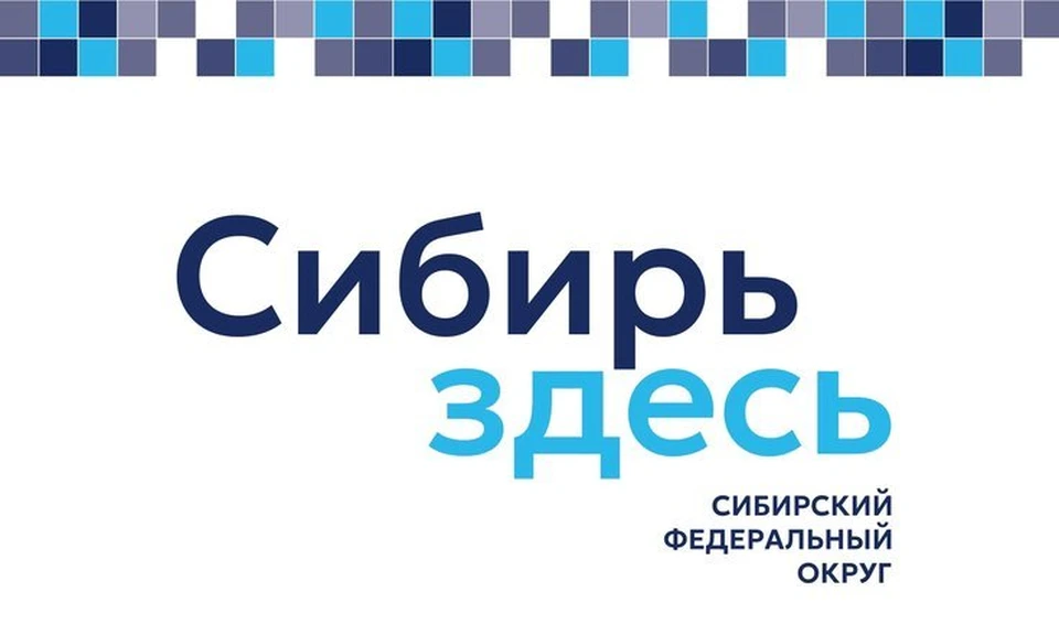 Изображение: официальный сайт полномочного представителя Президента России в Сибирском федеральном округе (sfo.gov.ru)