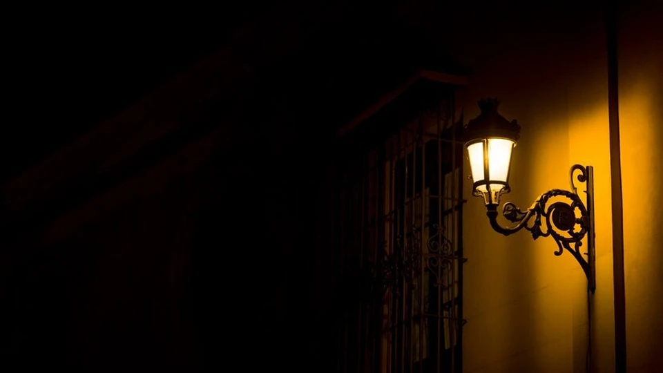 фото:freepik.com