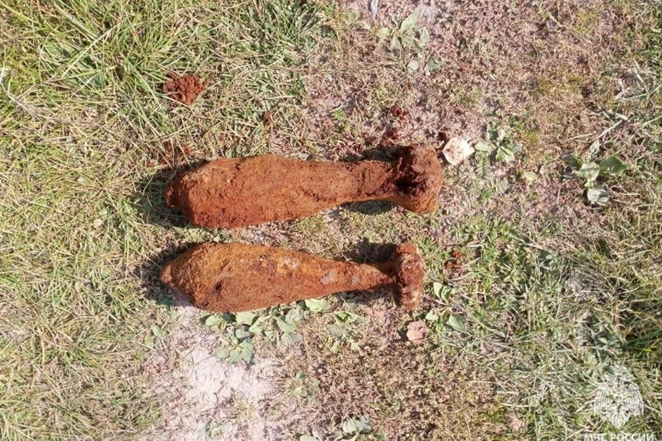 Фото: пресс-служба ГУ МЧС России по Брянской области.