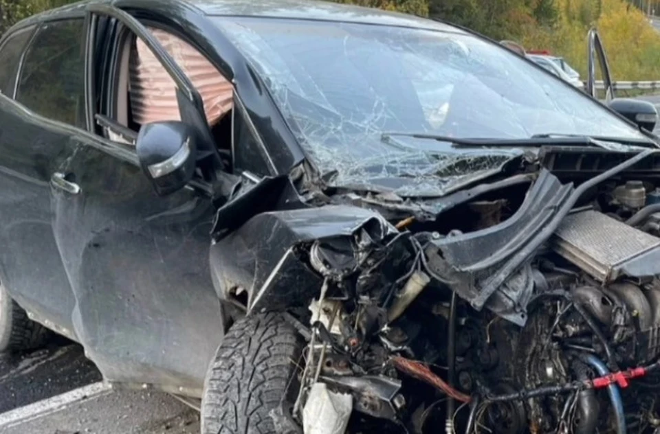 После смертельной аварии под Ухтой возбуждено дело из-за пьянства водителя