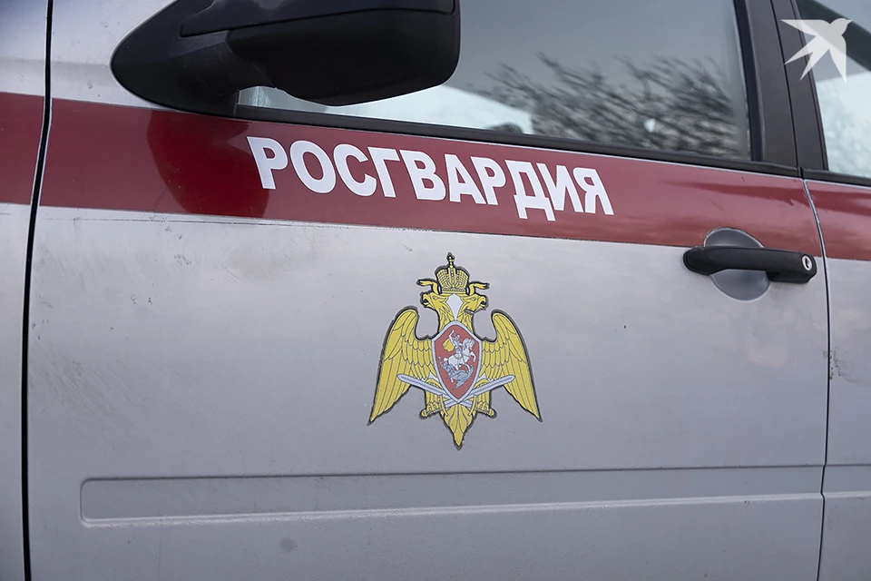 Им грозит протокол по статье о мелком хулиганстве, нарушителей доставили в отдел полиции.