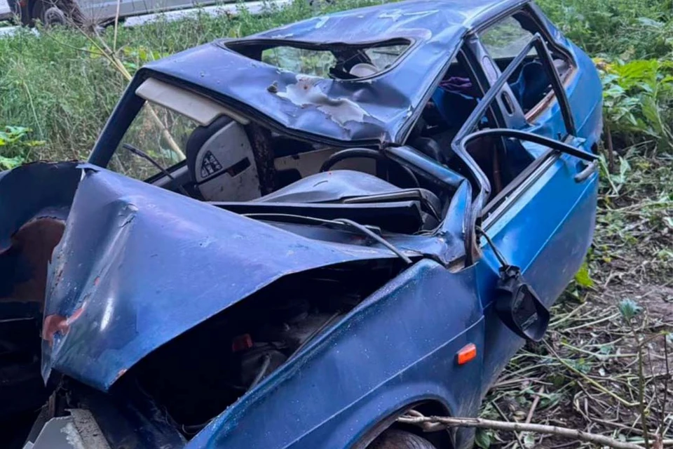 В результате ДТП животное погибло, водитель - в реанимации. Фото: t.me/spb_police78