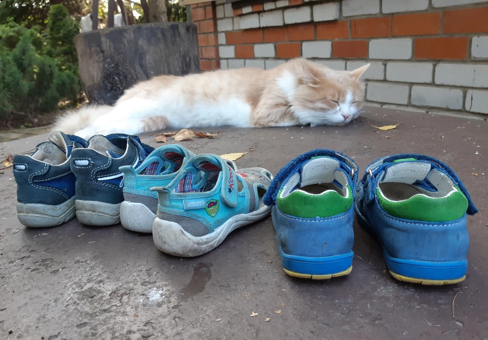 Негативные тенденции касаются далеко не всей молодежи