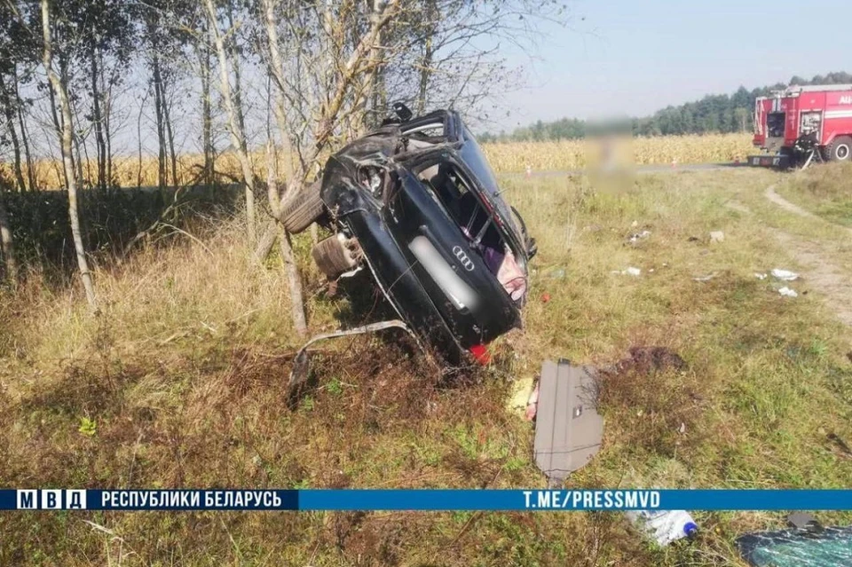 Водитель не справился с управлением, и авто оказалось в кювете. Фото: МВД.
