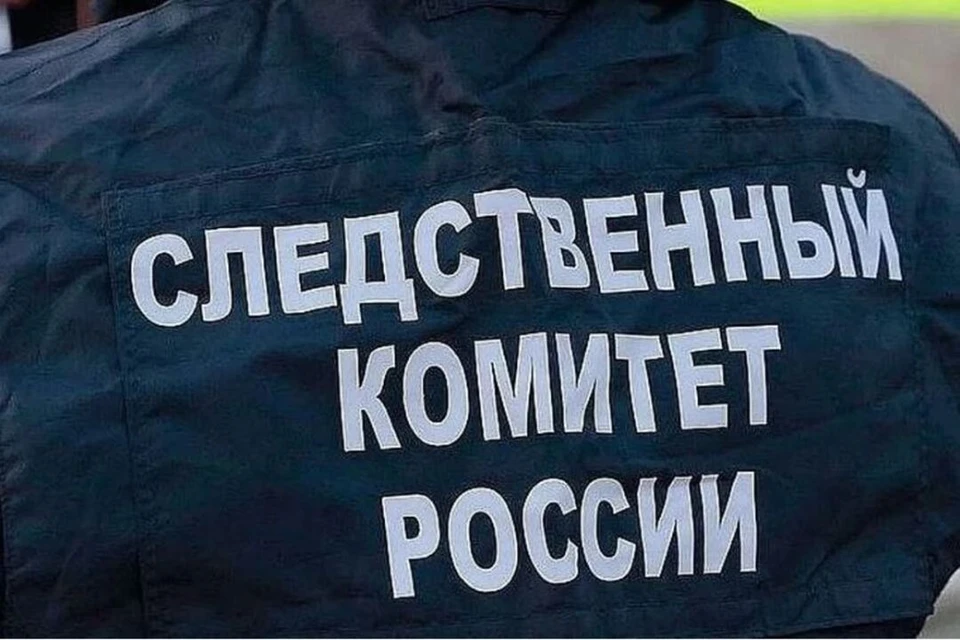Все трое похитителей задержаны, решается вопрос об их аресте